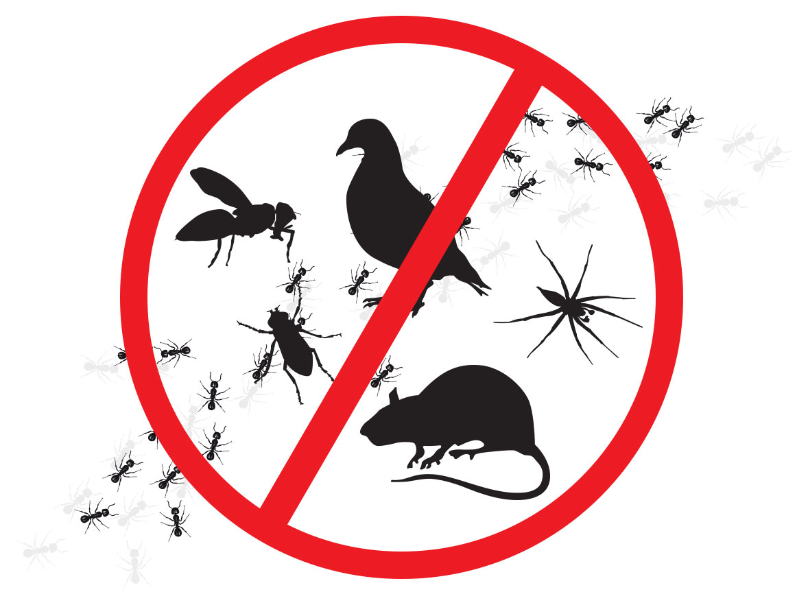 pests