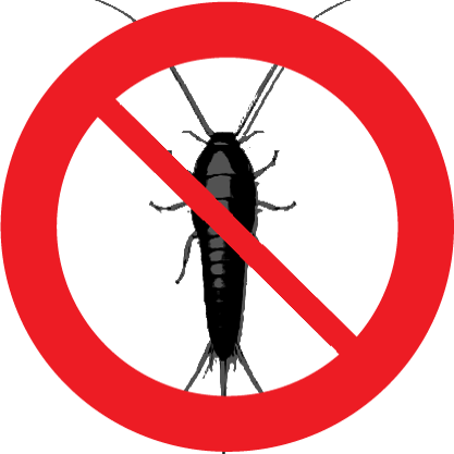 silverfish